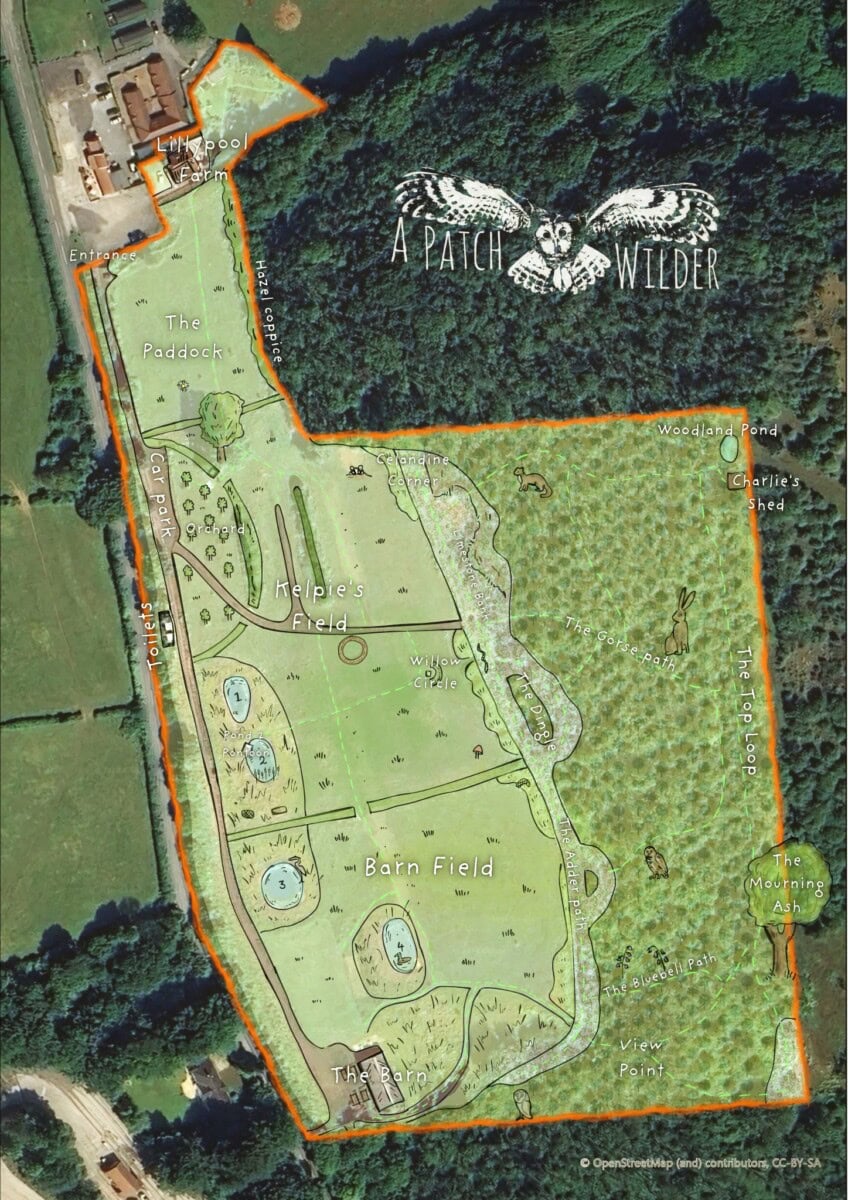 Aerial site map of A Patch Wilder with the boundary outlined and habitat features labelled