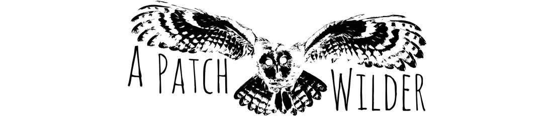 A Patch Wilder logo